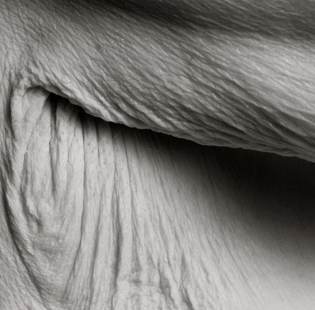 Fotos do corpo após os 100 anos