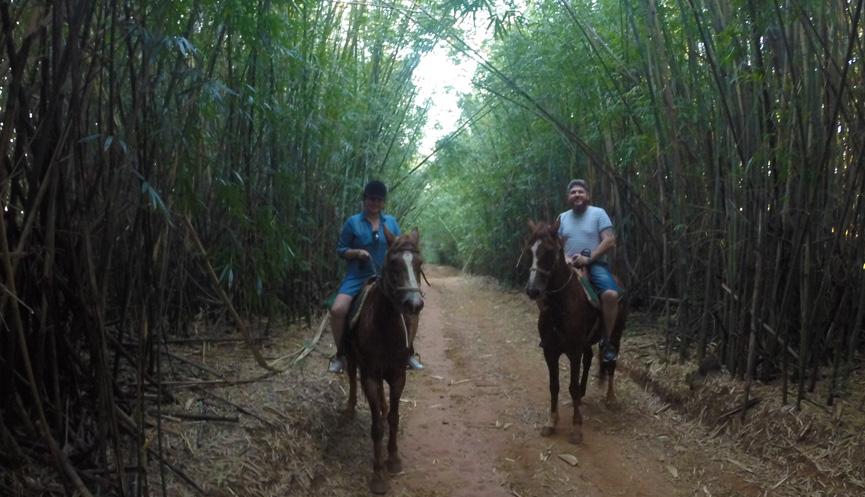 Andando a cavalo em Dourado
