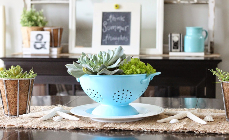 Suculenta na cozinha