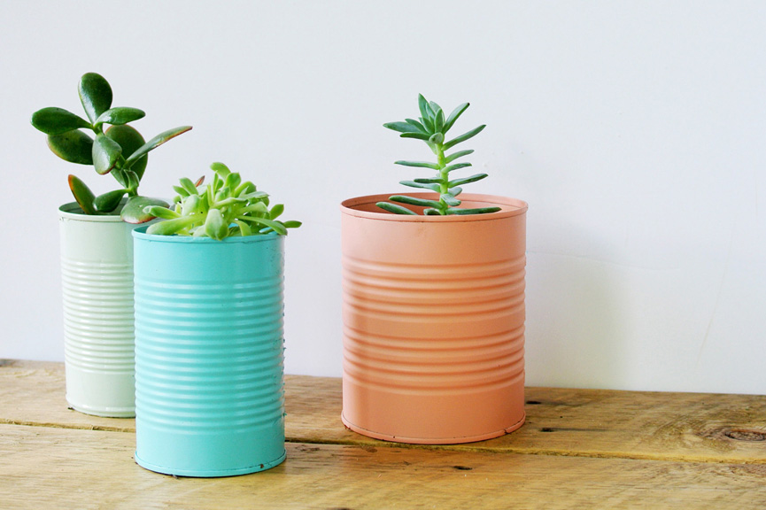 Latas com suculentas