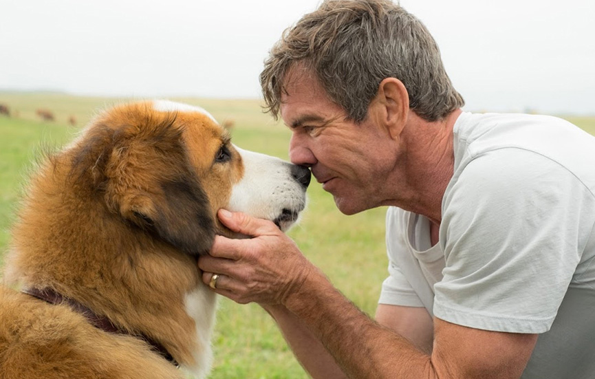 Ethan reencontra Bailey